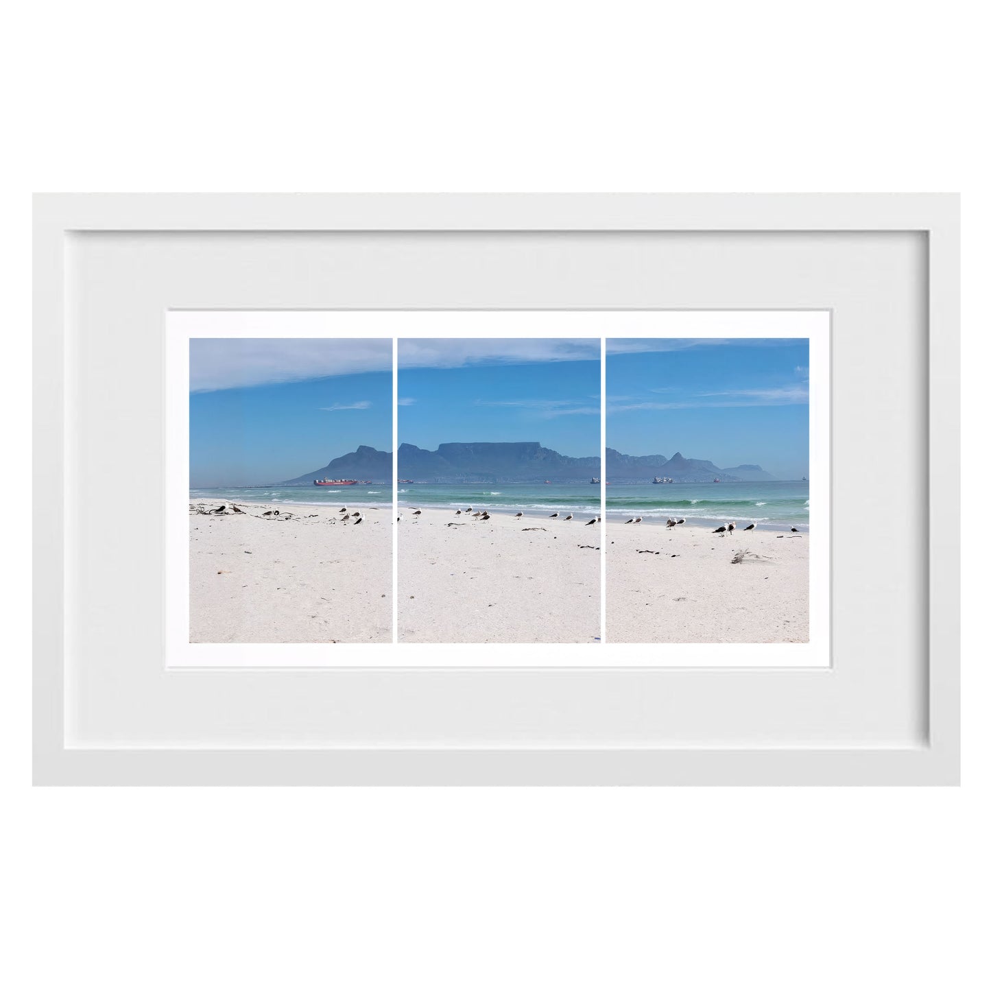 Seagulls Beach & Mountain