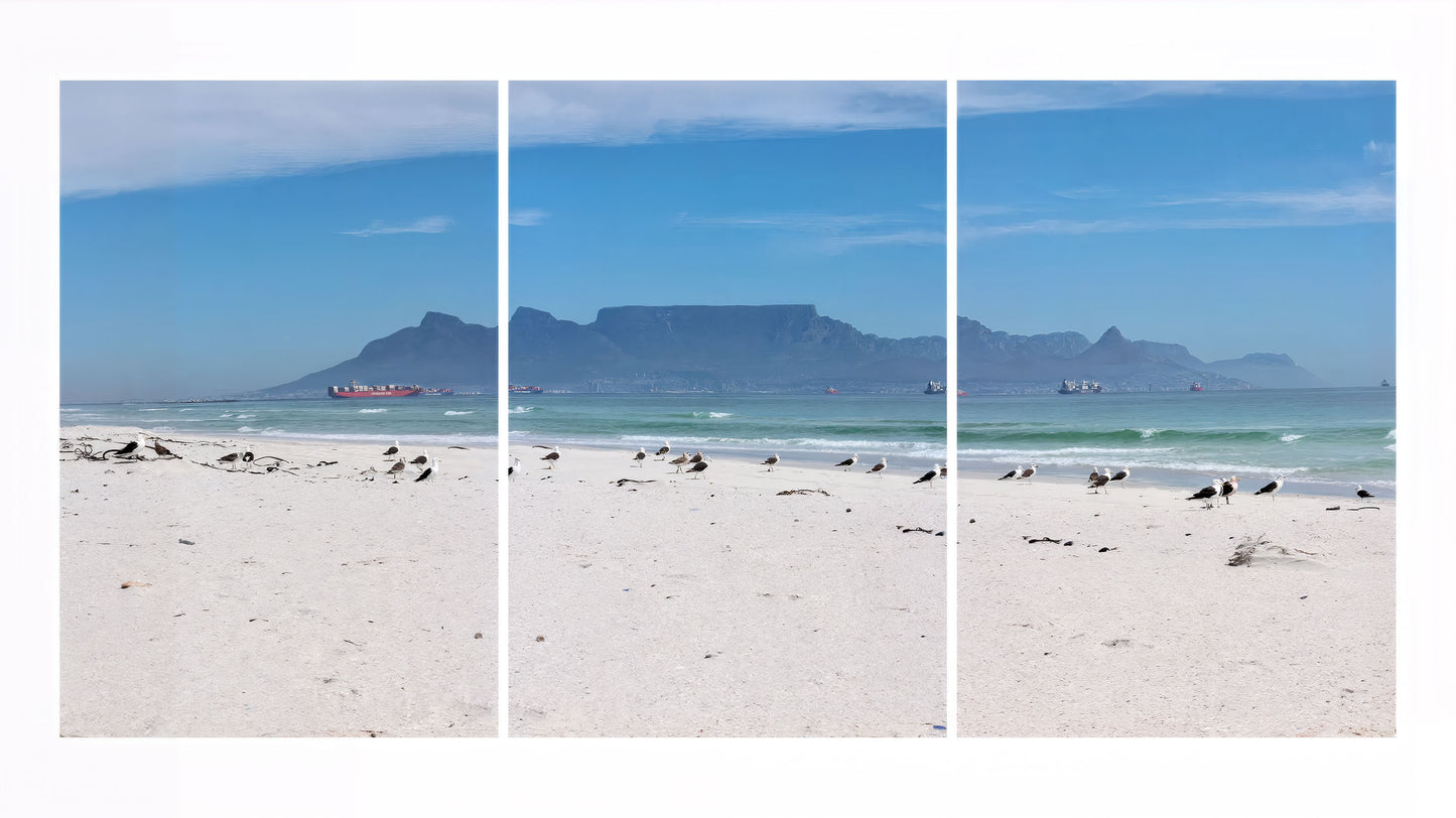 Seagulls Beach & Mountain