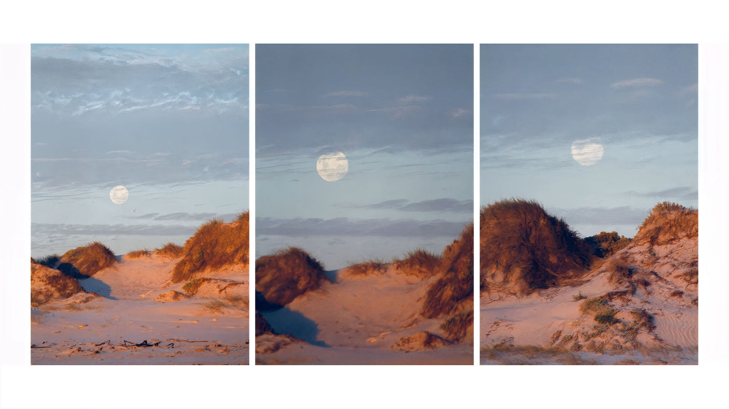 Moon Dunes
