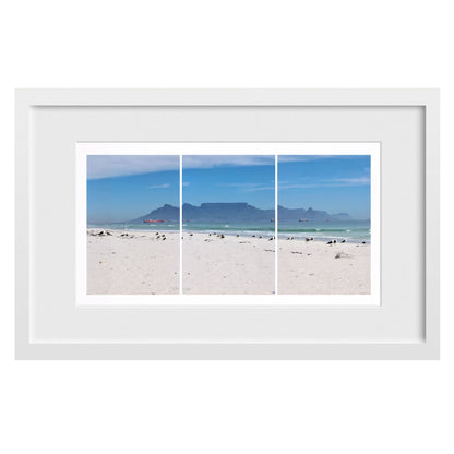 Seagulls Beach & Mountain