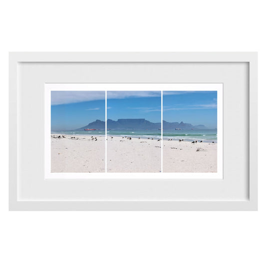 Seagulls Beach & Mountain