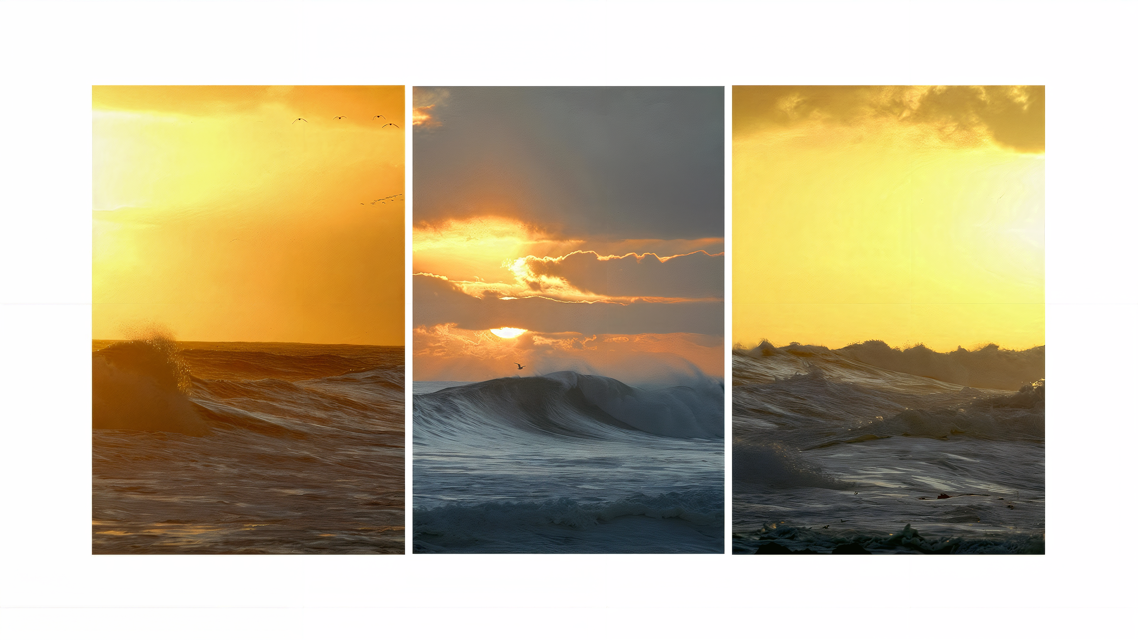 Take Action with Passion