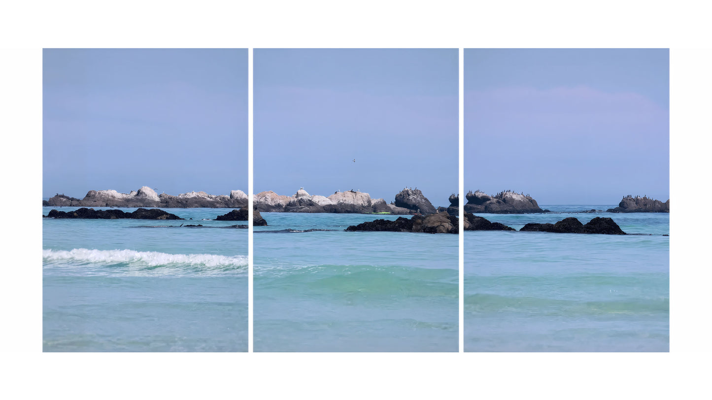 Blue Sea & Sky